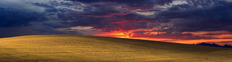 Sunset Bliss